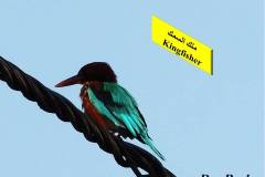 463962316_8608740392527203_7477880119626410519_n