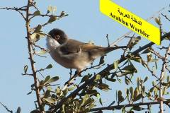 463963820_8603732103028032_1282322863694526230_n