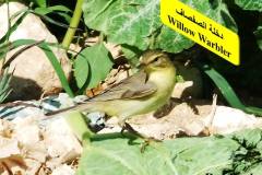 463966665_8606856426048933_6335044253678069294_n