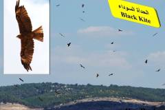 463967068_8605097122891530_7028552286900801525_n