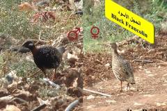 464006960_8607106489357260_1246424438479692090_n