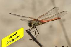 464013316_8602320539835855_7869989815112467590_n