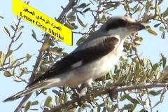 464018605_8603295596405016_7232609506189101136_n