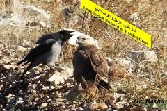 464019783_8609085162492726_7159582666825976292_n