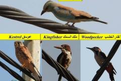 464029218_8601652749902634_2053701474911300220_n