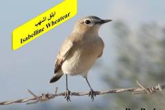 464031250_8603732106361365_2632985873592047796_n