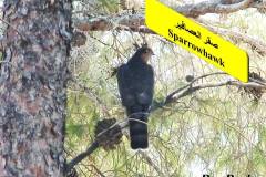 464032143_8608111595923416_5340359164720892511_n