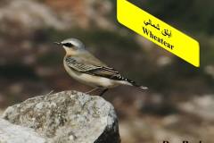 464033394_8608266989241210_6873467813241620823_n