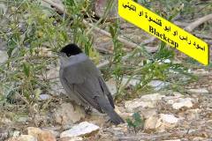 464040557_8608284172572825_5246311588369652220_n