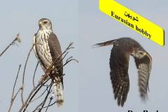 464040574_8603279283073314_4273412693277130384_n