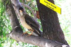 464062296_8611198438948065_5675540053379779809_n