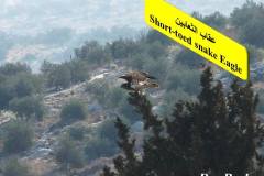 464069426_8603279289739980_1965483769678686925_n