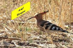 464071173_8607038042697438_6759555990454509392_n