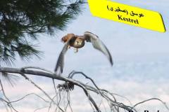 464082662_8604154279652481_8303625183403368934_n