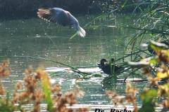 464090758_8607036949364214_3159141843699695515_n