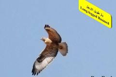 464099757_8608414275893148_4966465311867630881_n