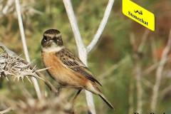 464109508_8608414532559789_5830047964093429116_n