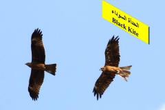 464109723_8609001555834420_2054567128125764633_n