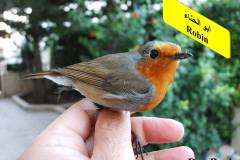 464143914_8608310482570194_3099249122019137478_n