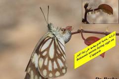 464144126_8609461335788442_4213639784497273074_n