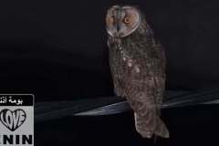 474548772_18447979195074024_1165438378950556299_n