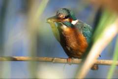 474744049_9175253282542575_1938243044860634659_n