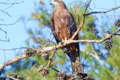 475057366_18448951111074024_1066039928996890045_n