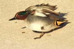 475089643_18448951141074024_7664156041462998174_n-1