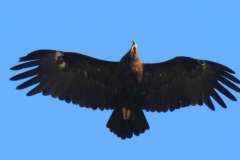 475196474_18448951099074024_5272654314609343116_n