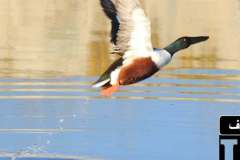 475210270_18448951144074024_4999821054726786982_n