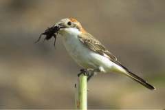 476025690_9215046781896558_1261418612894318301_n