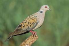 476160490_9215079388559964_1747708848049724672_n