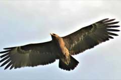 476179343_18450093496074024_1337529435840950745_n