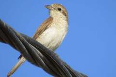 476767156_9251912921543277_7170371407461625488_n