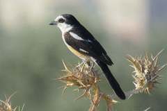 476804151_9251913051543264_6676268744850523820_n