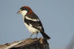 476805094_9251912971543272_748184635714734763_n