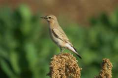 476806071_9251912951543274_8171436722368044043_n