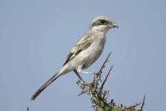 476806101_9251912964876606_3323258934152791194_n