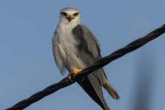 476837625_9251912844876618_8433830412160515779_n