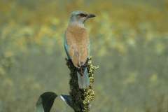 476858425_9251912851543284_2421448659476843922_n