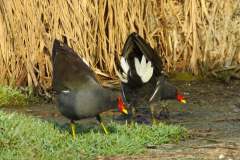 477033285_9256318324436070_3580200903302398231_n