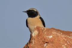 479331591_9273263372741565_3758414261890595741_n