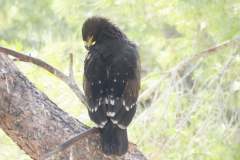 479535717_9273398356061400_7691026694646573914_n