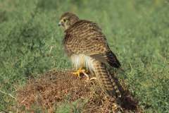 479963248_9273263312741571_1012612826179215603_n