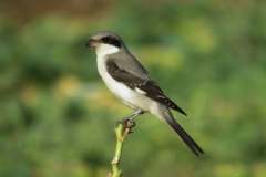 480081677_9273263516074884_4017747429287107641_n