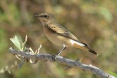 480083224_9273263676074868_8046347800259623132_n