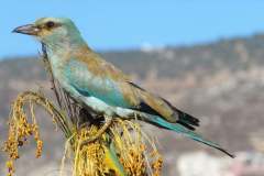 480092771_9273389986062237_664111143999101837_n