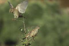 480193321_9273263379408231_5001743307007280903_n