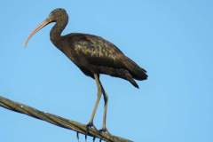 480198168_9273263629408206_7432453581530735701_n