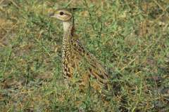 480206354_9273263316074904_7529309536440320935_n